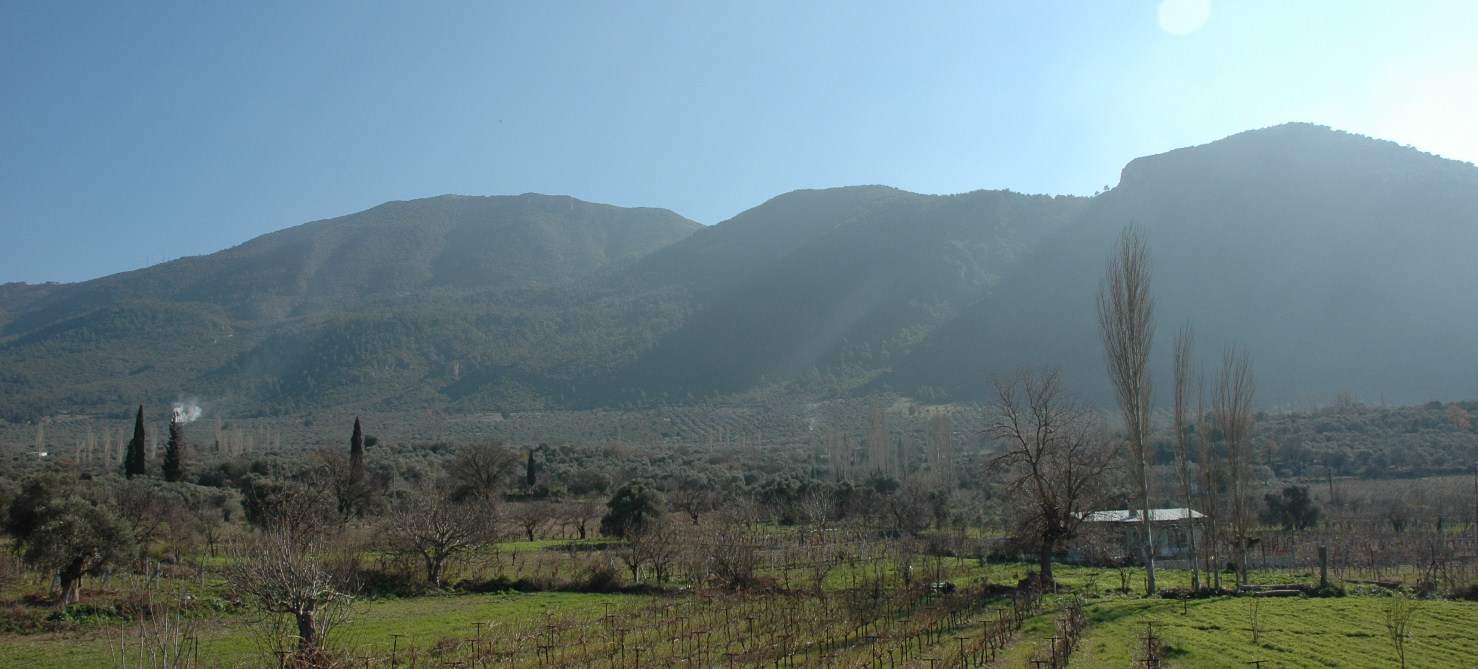 Gul Dar