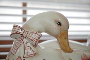 duck