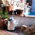 A new watering can, 10tl from the travelling salesman who parks by the tea shop