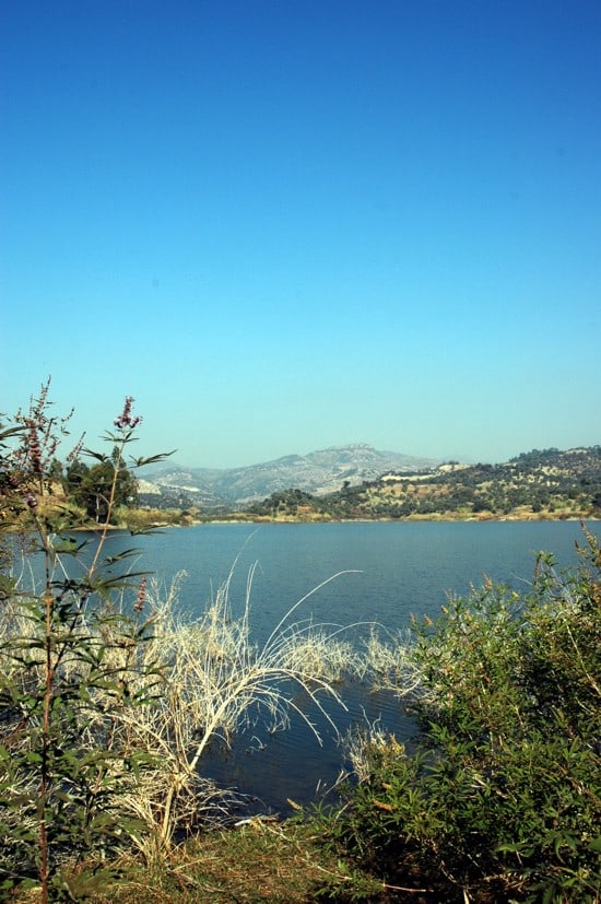 3 - Sunny lunchtime at the lake