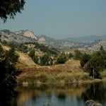 4 - Reflections in the water