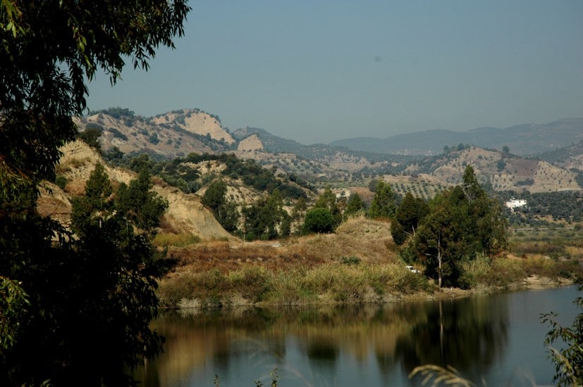 4 - Reflections in the water