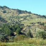 8 - The start of the olive picking season