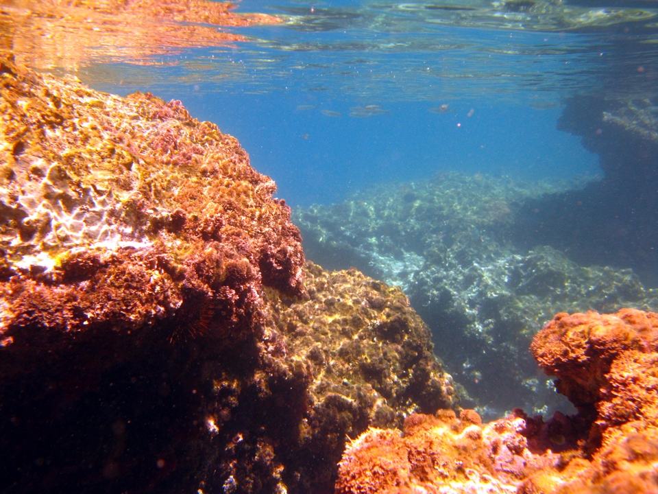 Kamil Cavern Shallow water