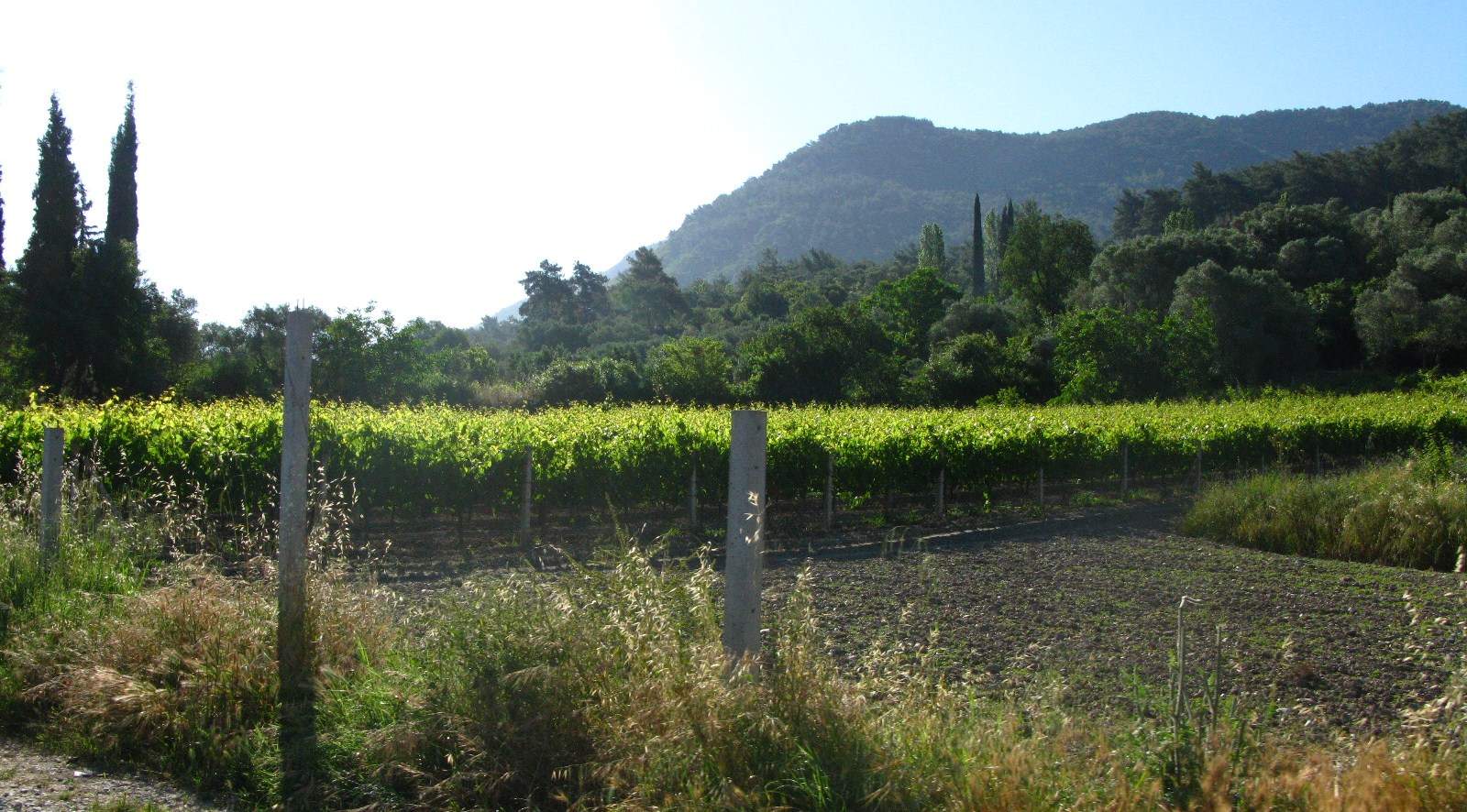 Leaving the valley for diving