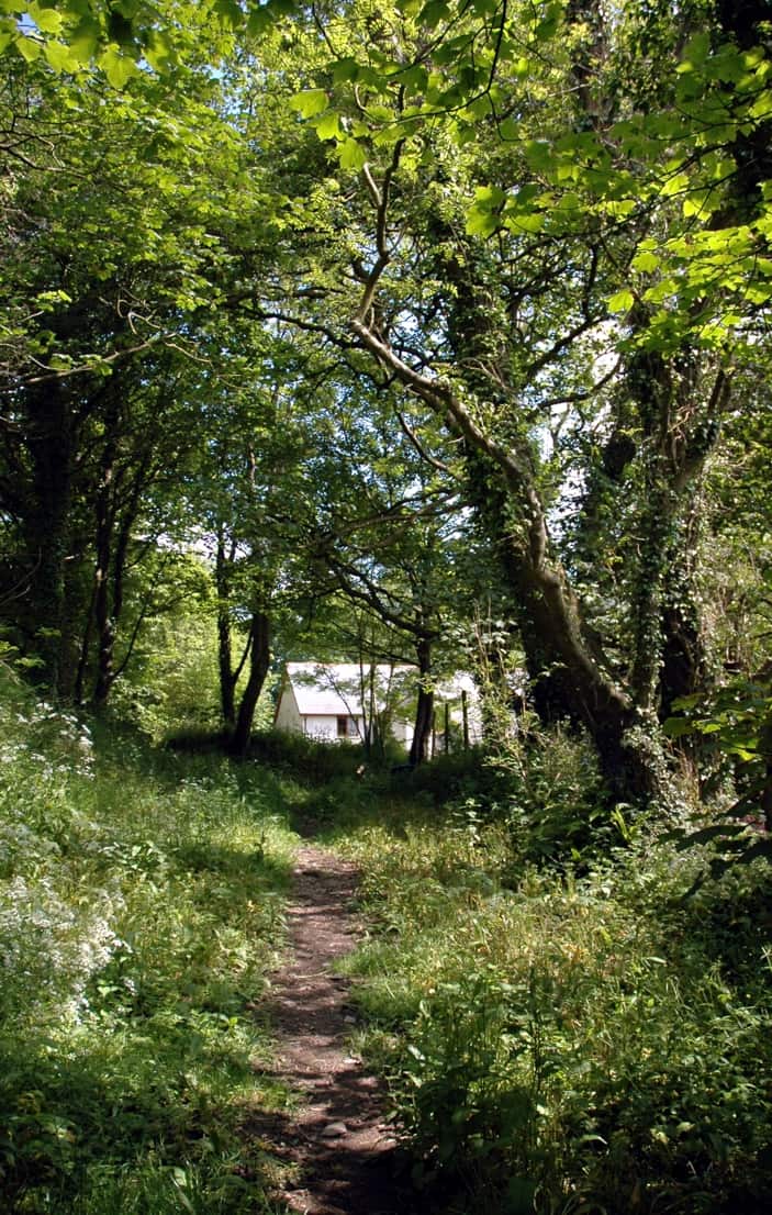 home along the bridle path May