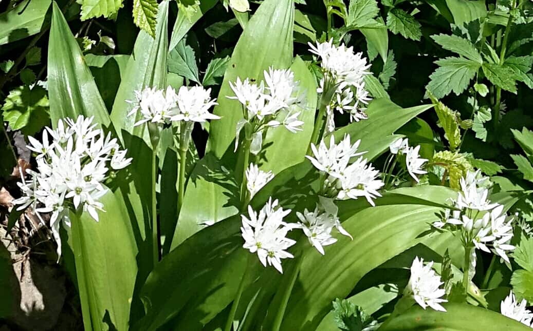 wpid-img_20150429_152501