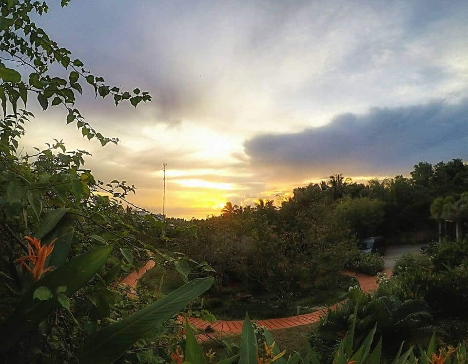 Another tropical sunset