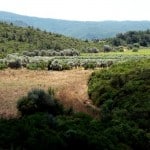 3 western part of valley