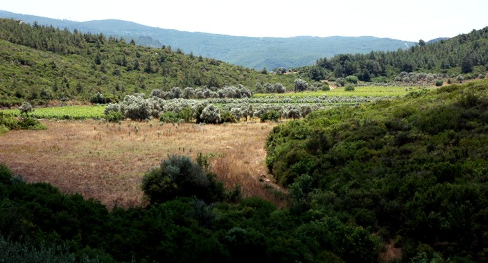 3 western part of valley