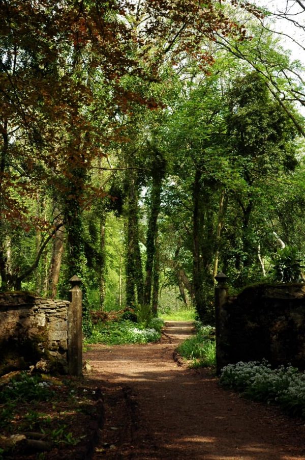 stackpole walled garden | Karen Phillips